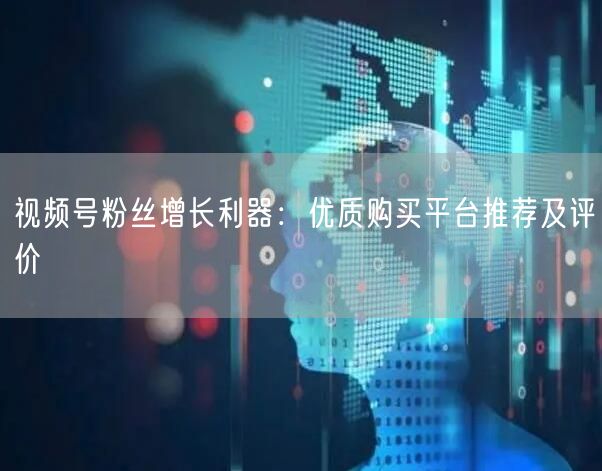 视频号粉丝增长利器：优质购买平台推荐及评