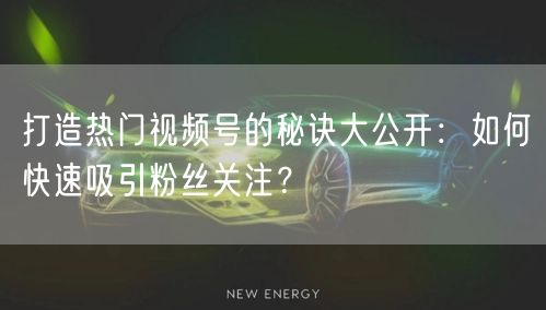 打造热门视频号的秘诀大公开：如何快速吸引粉丝关注？