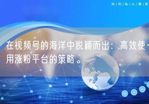 在视频号的海洋中脱颖而出：高效使用涨粉平台的策略。