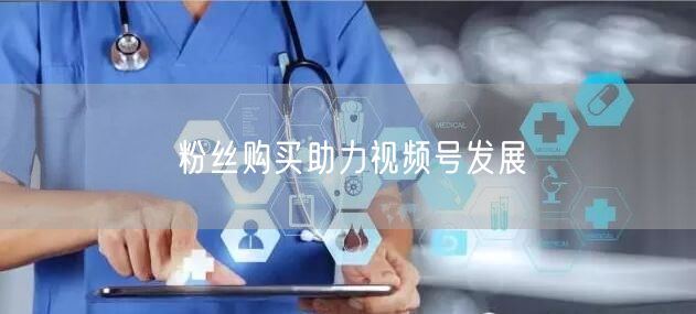 粉丝购买助力视频号发展