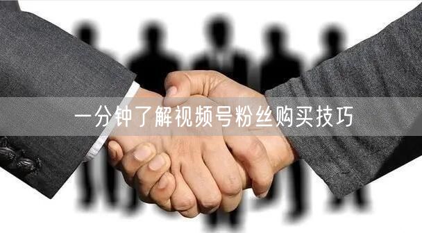 一分钟了解视频号粉丝购买技巧