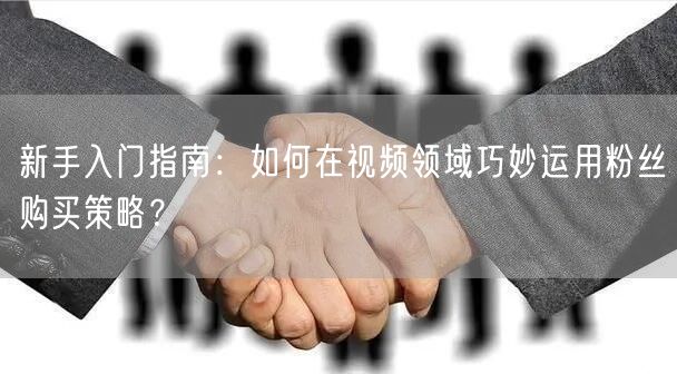新手入门指南：如何在视频领域巧妙运用粉丝