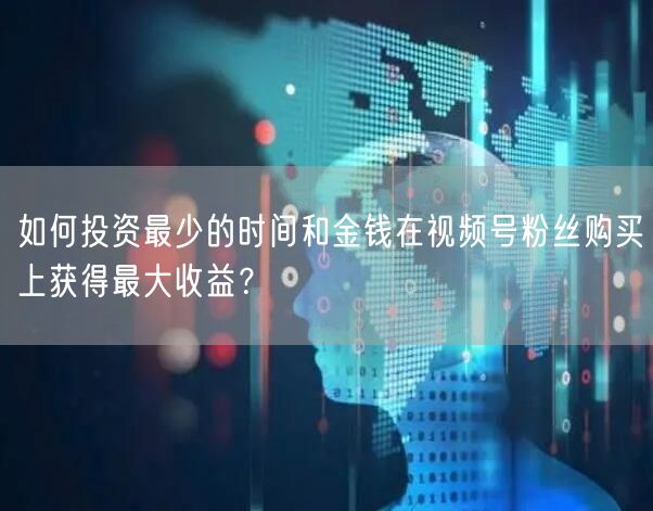 如何投资最少的时间和金钱在视频号粉丝购买