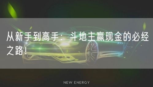 从新手到高手：斗地主赢现金的必经之路！